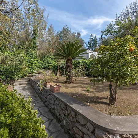 Paolina Relaxing In Garden בית נופש